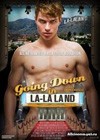 Going Down In La-La Land (2011).jpg
